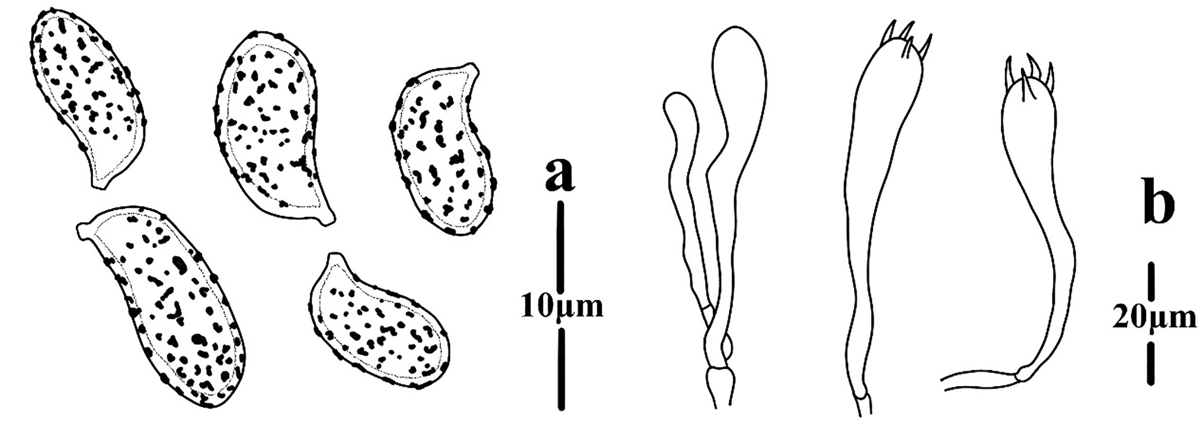 Figure 122